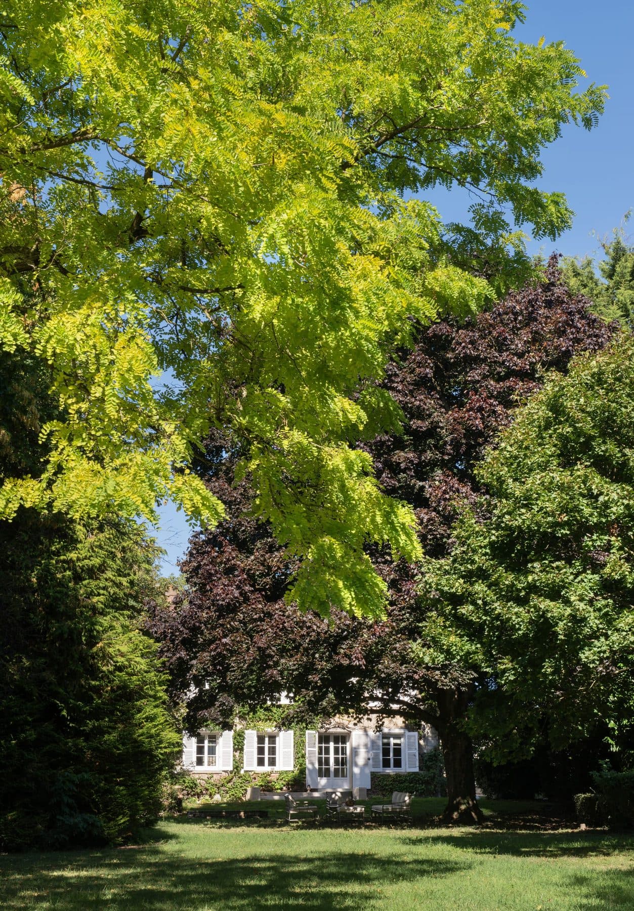 Le parc arboré du domaine, la maison de maître au fond